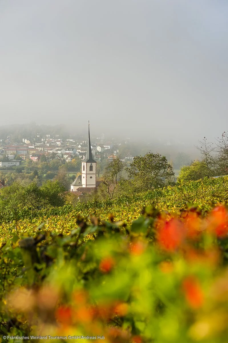 Weinberge im Herbst