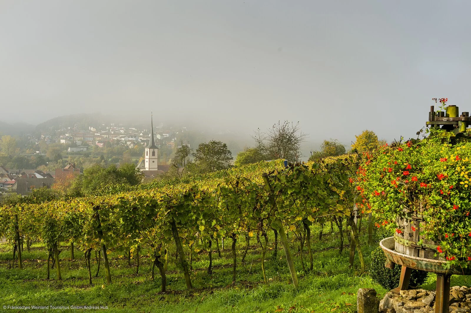 Weinberge im Herbst