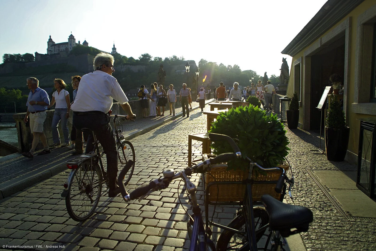 Alte Mainbrücke Würzburg