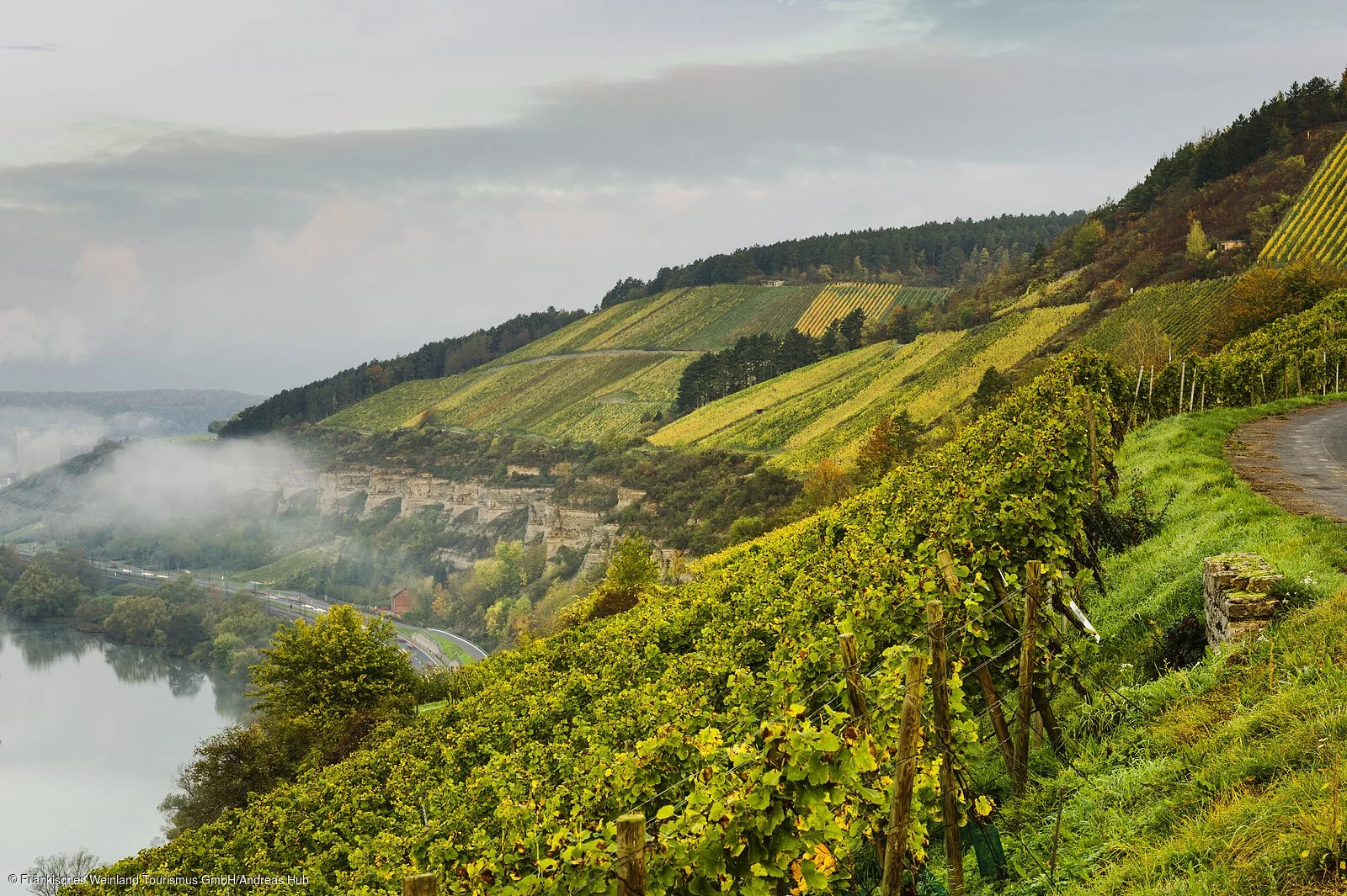 Weinberge bei Retzbach