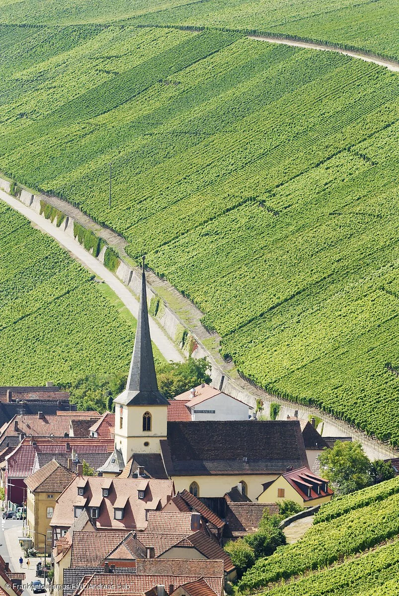 Blick auf Escherndorf