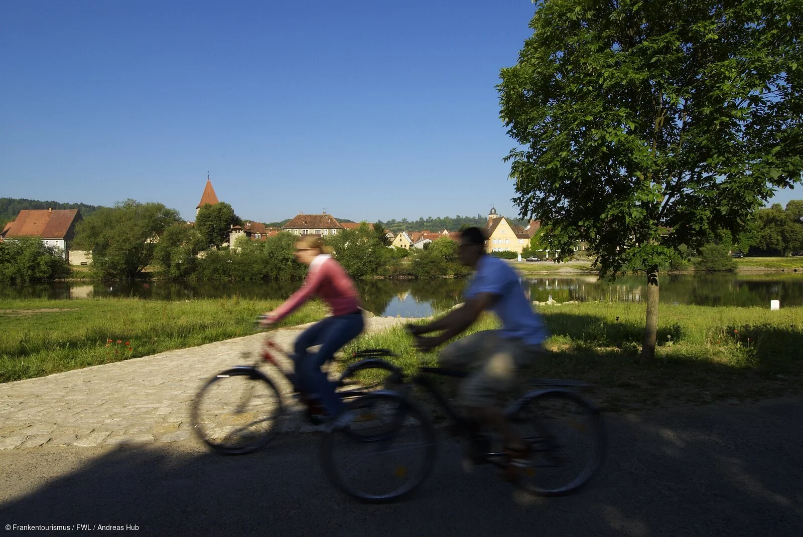 MainRadweg bei Sommerhausen