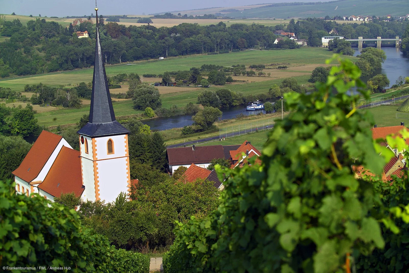 Weinberge bei Stammheim