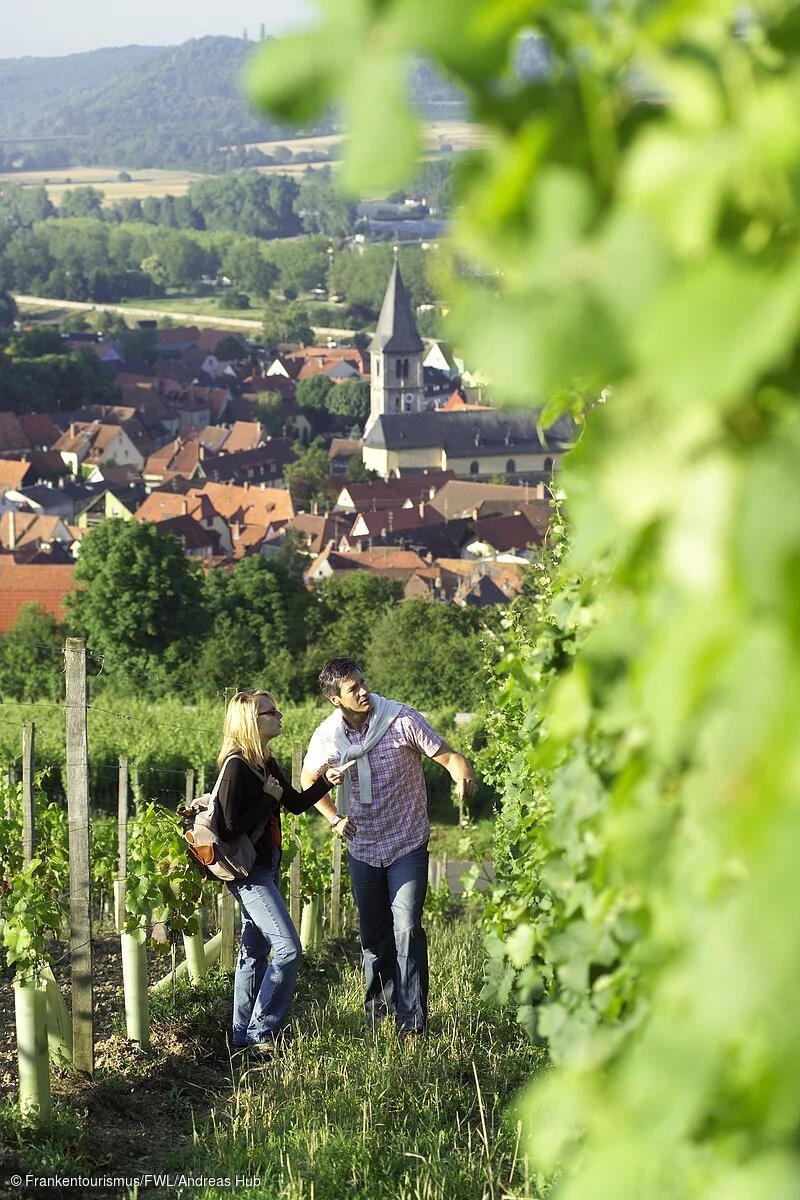 Wandern in den Weinbergen von Randersacker