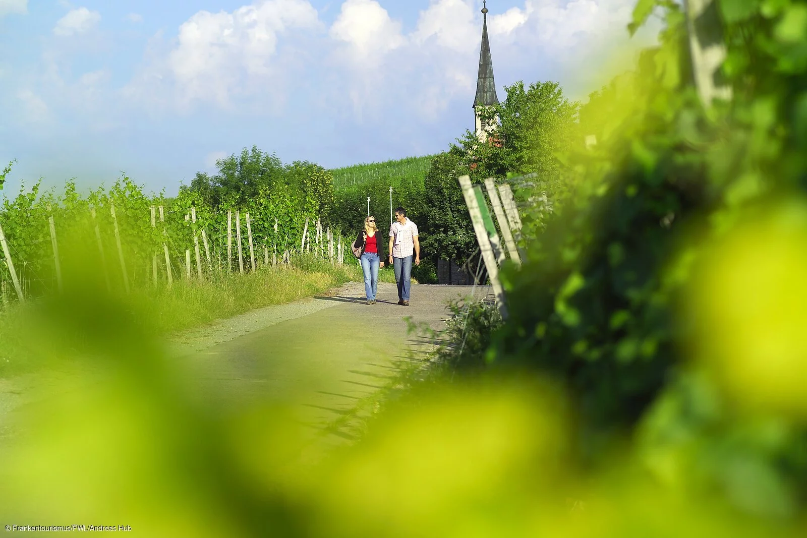 Wandern in den Weinbergen