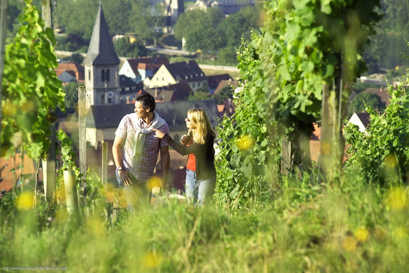 Wandern in den Weinbergen von Randersacker