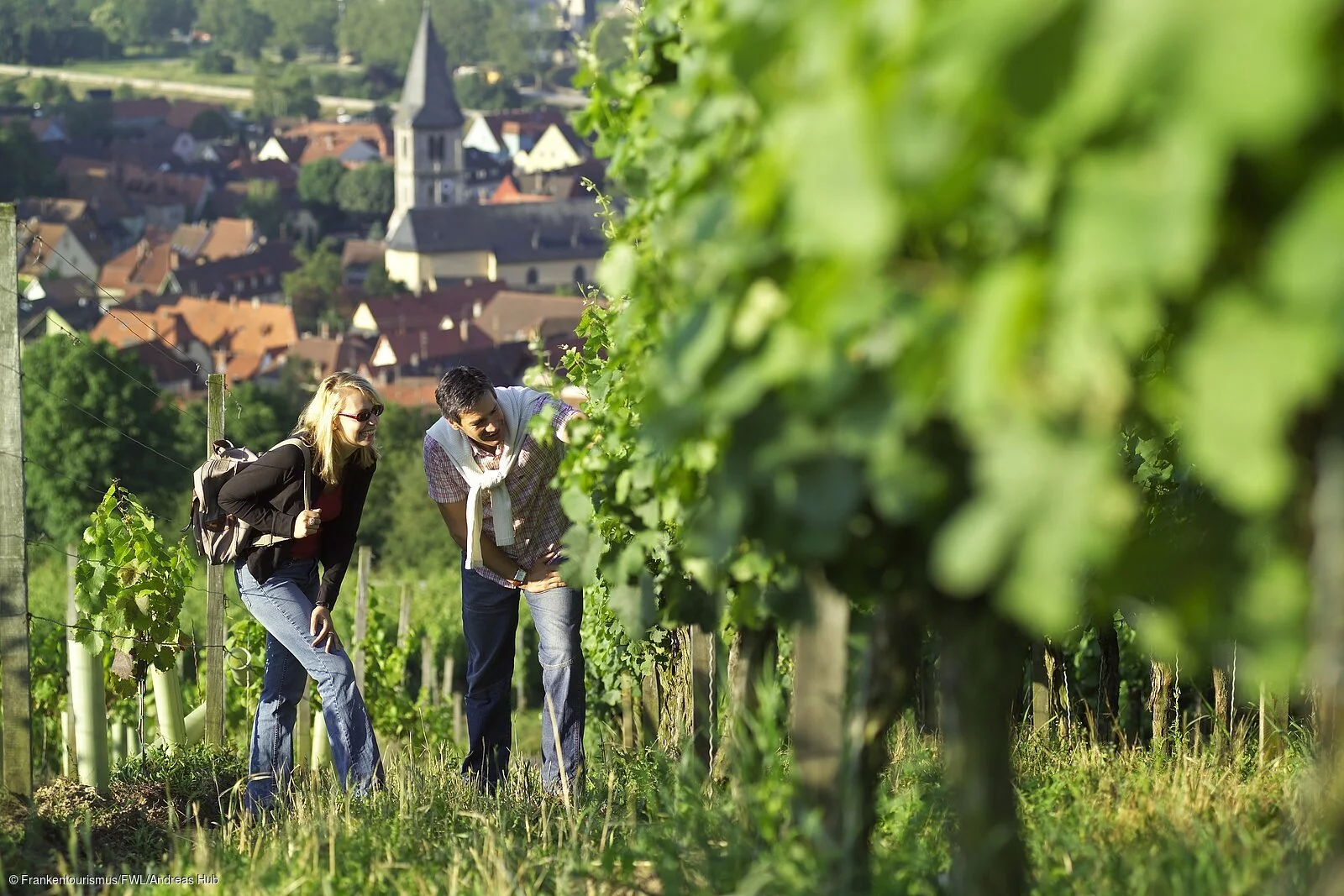 Wandern in den Weinbergen von Randersacker