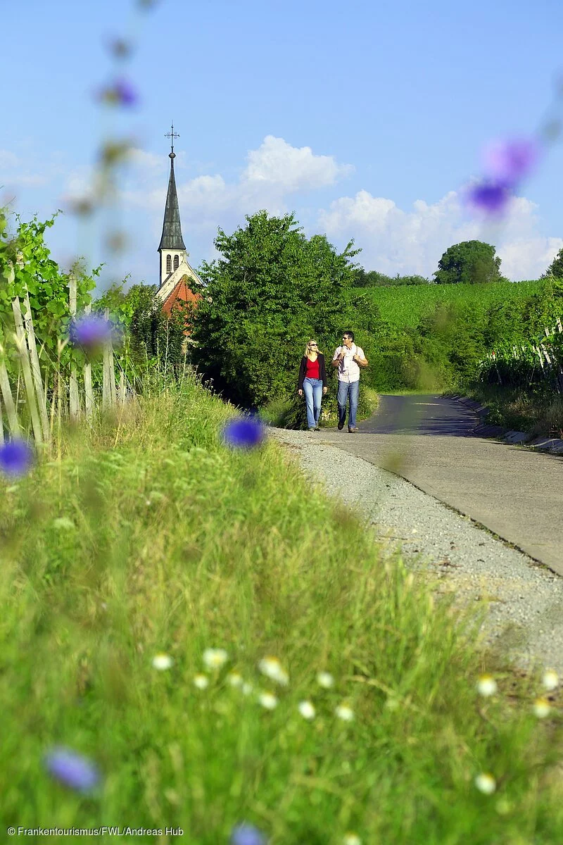 Wandern in den Weinbergen