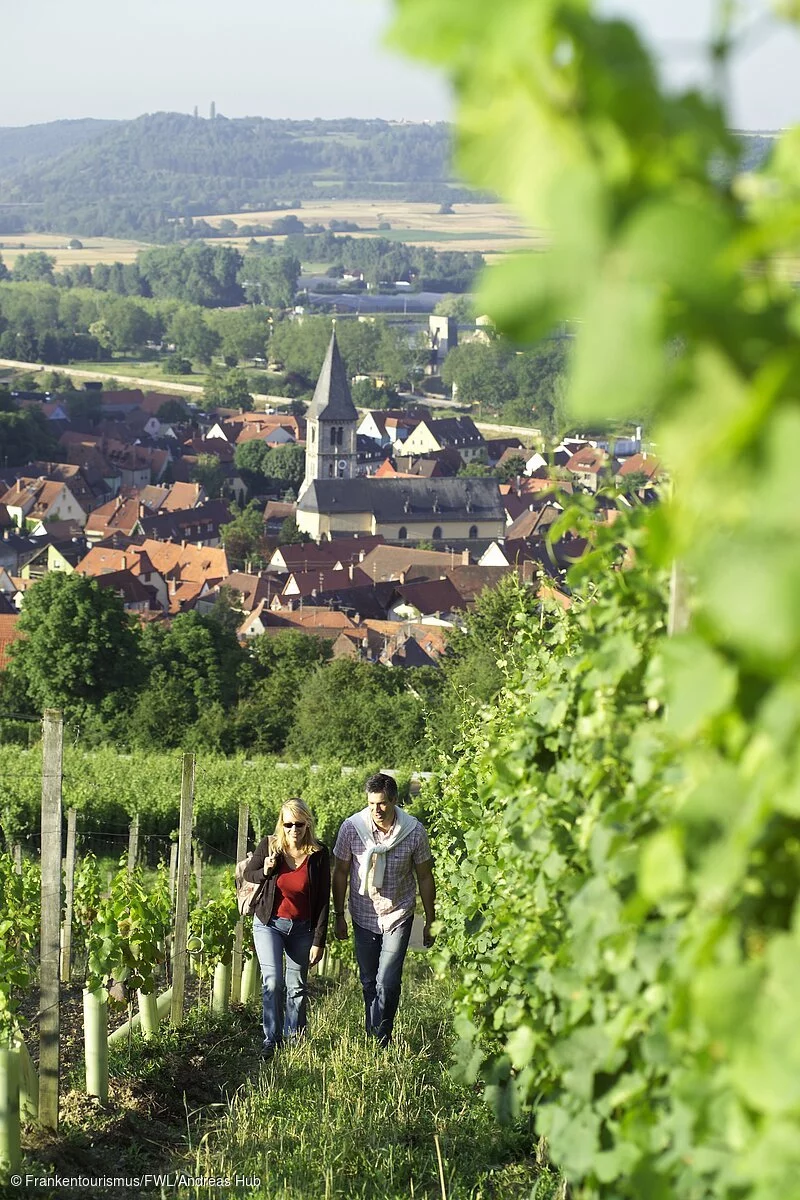 Wandern in den Weinbergen von Randersacker