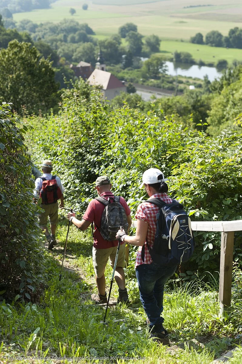 Wandern im Fränkischen Weinland