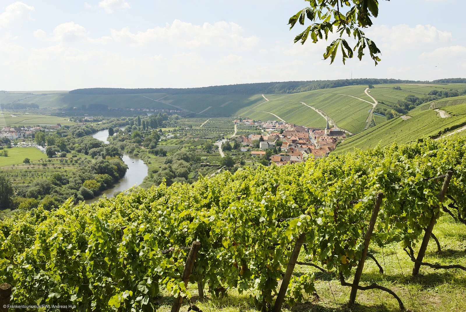 Blick auf Escherndorf