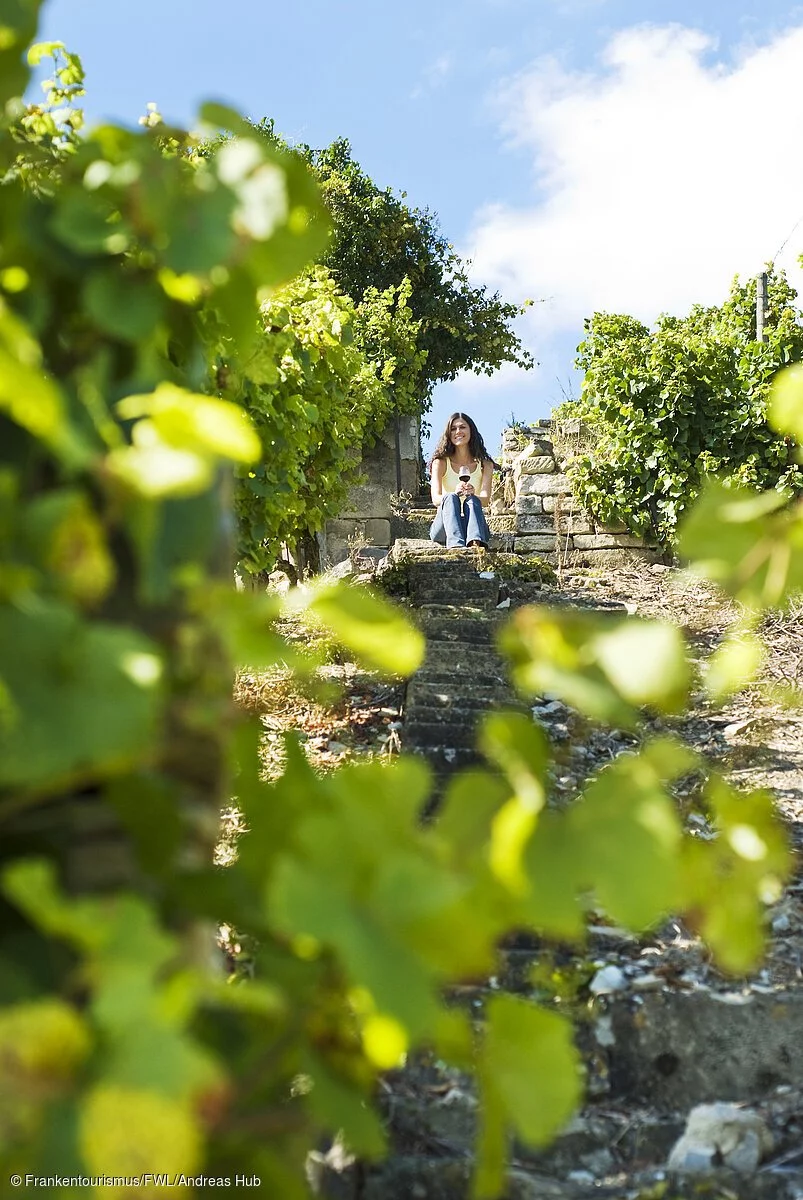 Rast im Weinberg