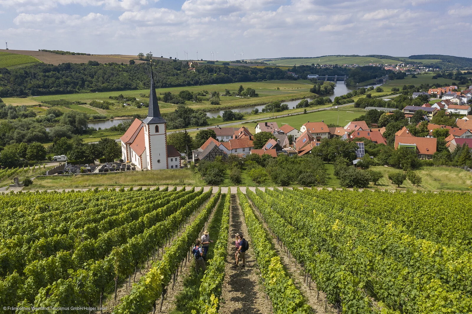 Weinberge bei Stammheim