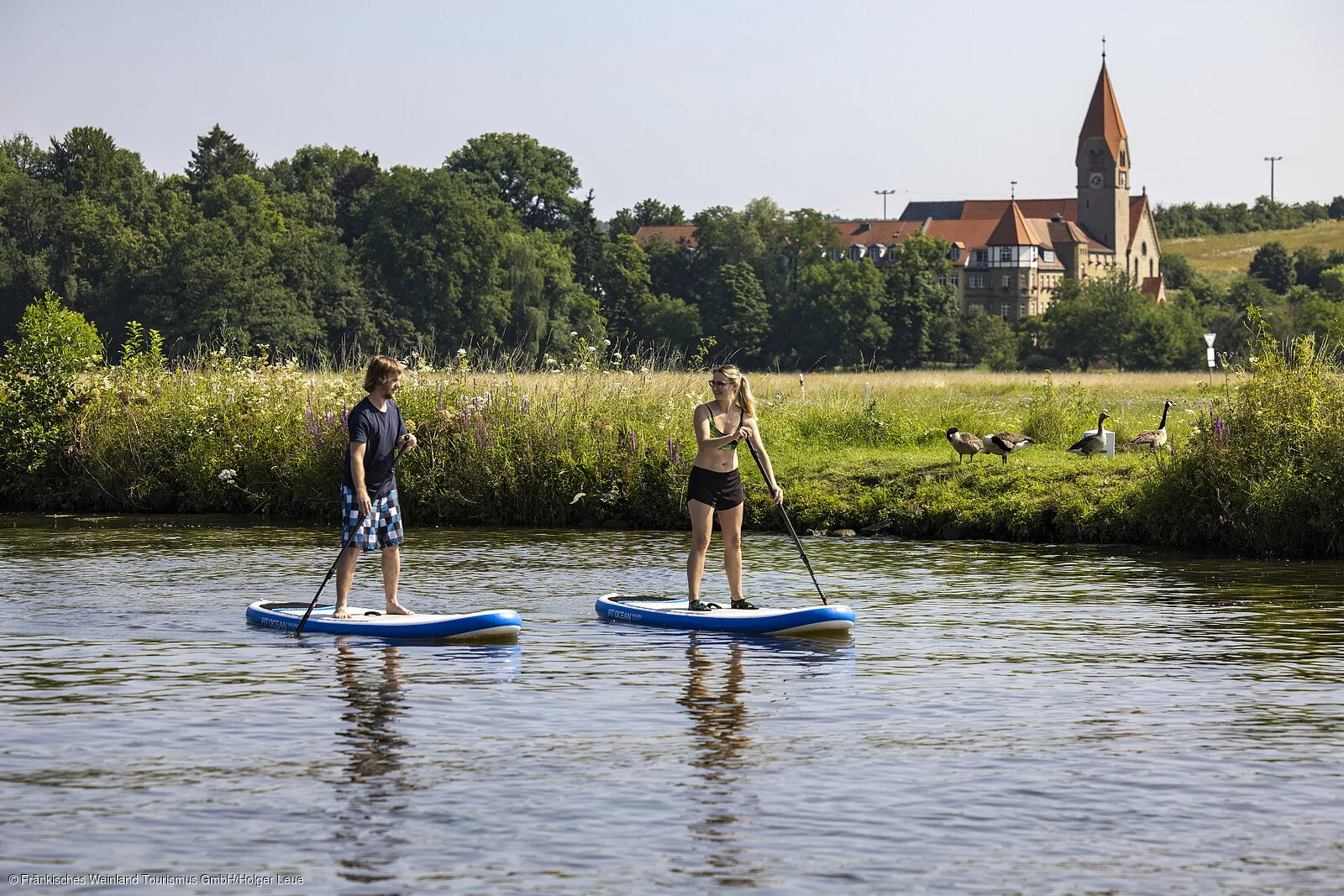 Stand up paddling auf dem Main bei Wipfeld