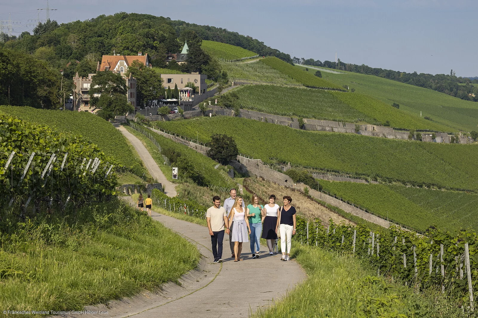 Gästeführung am Stein-Wein-Pfad in Würzburg