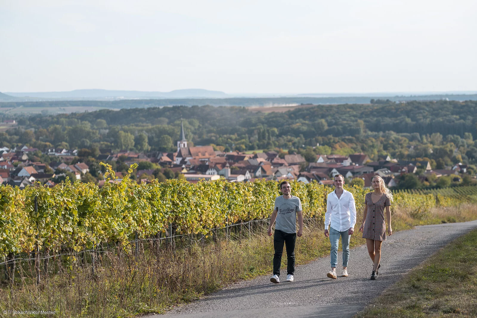 Spaziergang in den Weinbergen