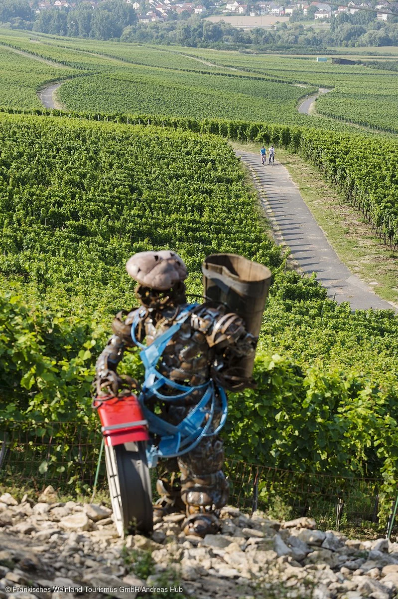 Radeln in Sommerhausen terroir f