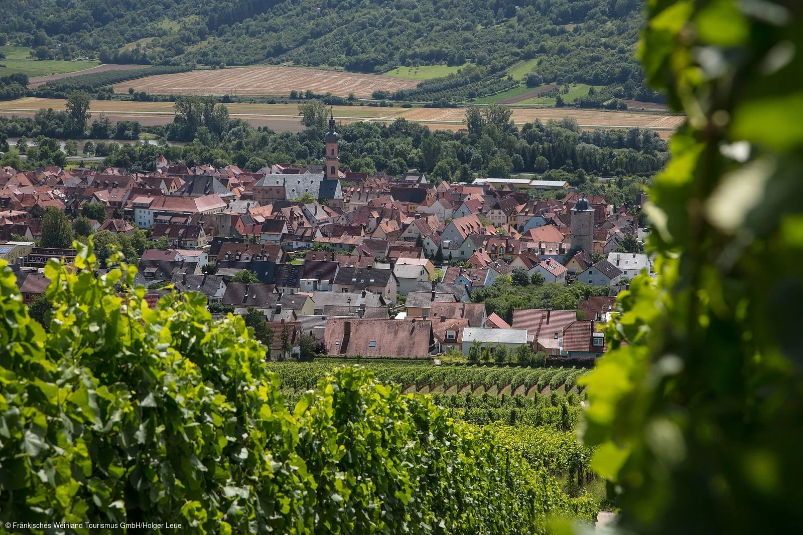 Blick auf Eibelstadt