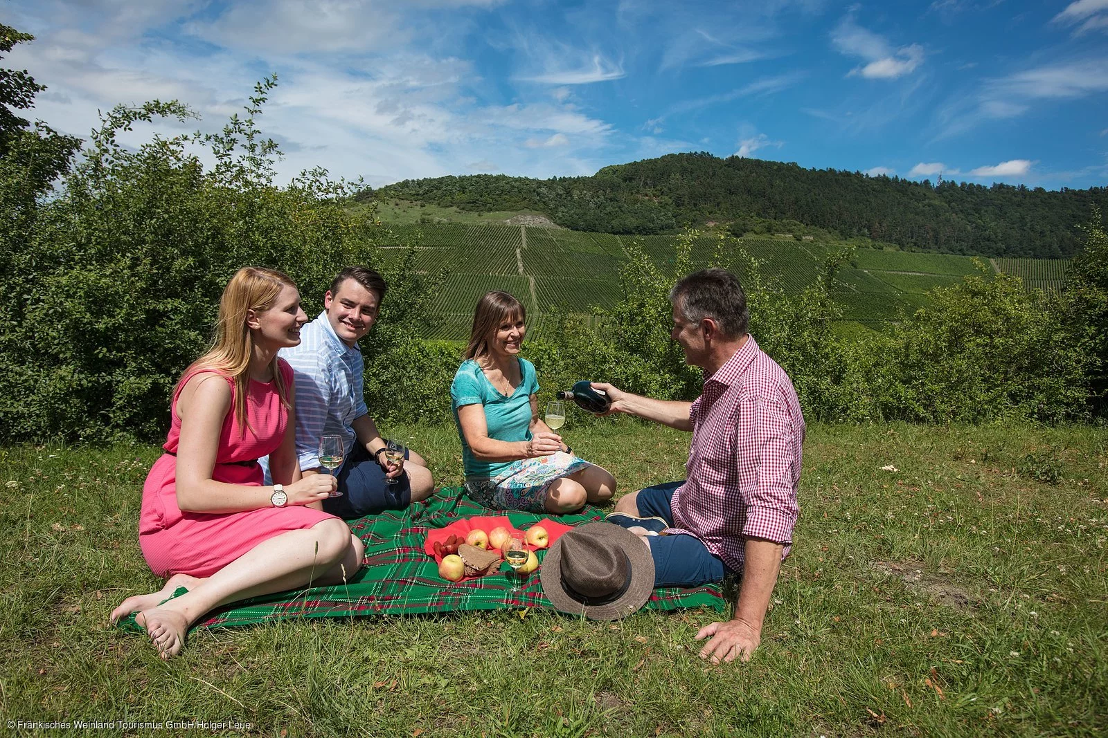 Picknick im Weinberg