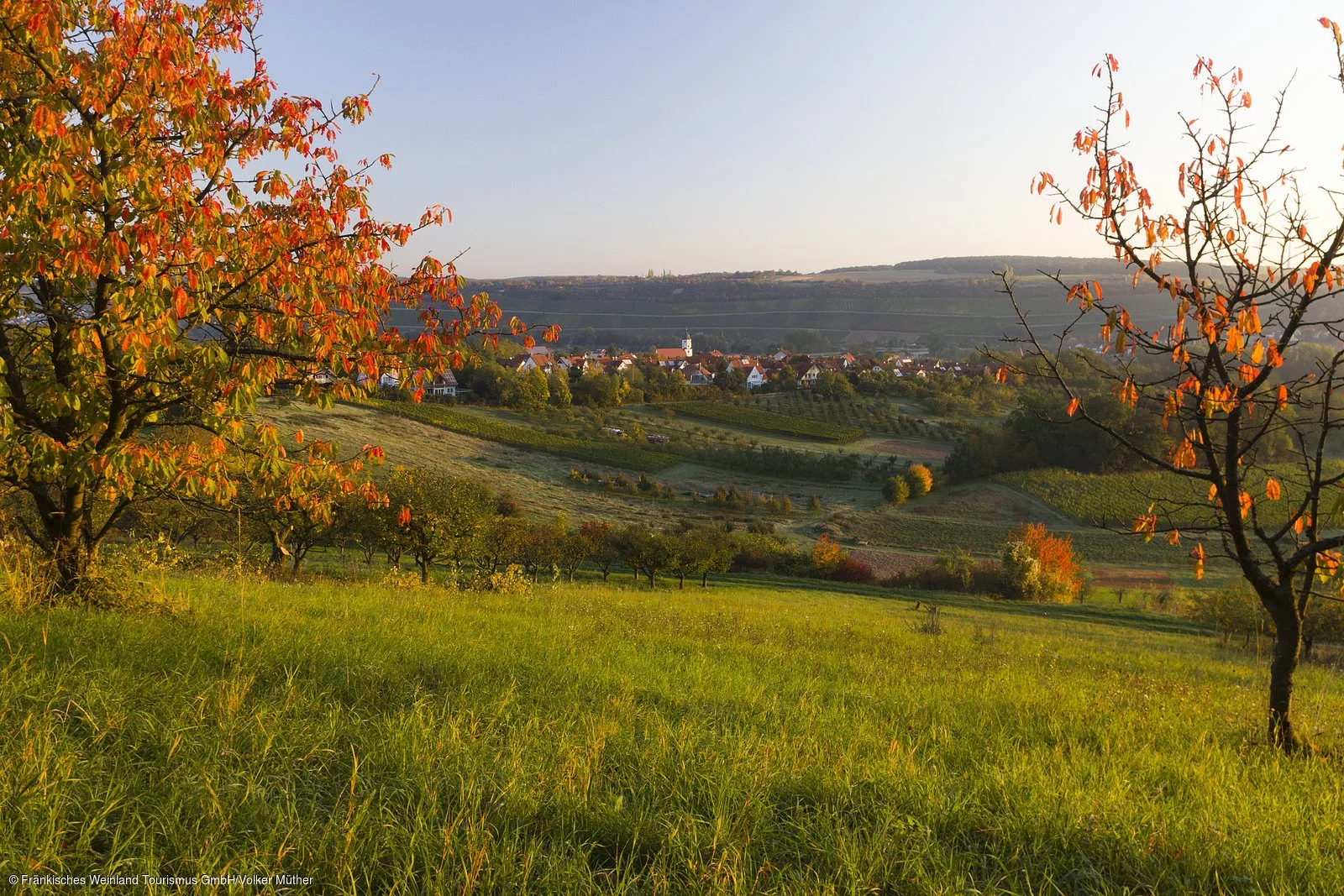 Blick auf Winterhausen