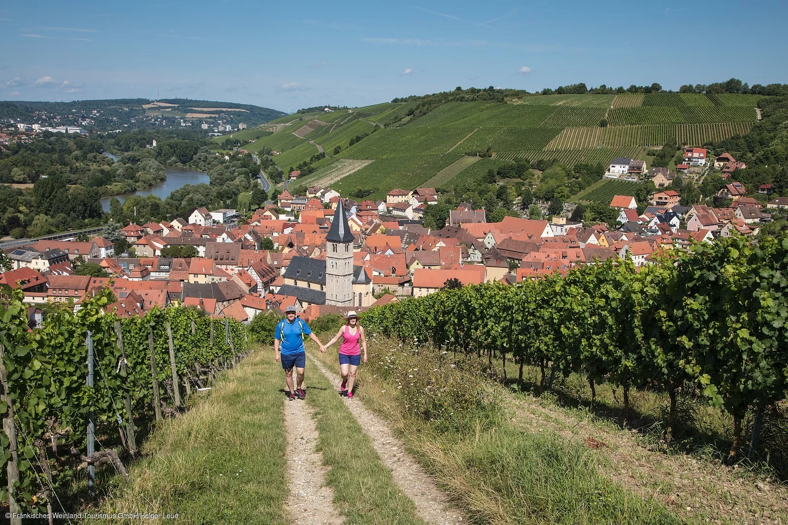 Wandern in den Weinbergen bei Randersacker