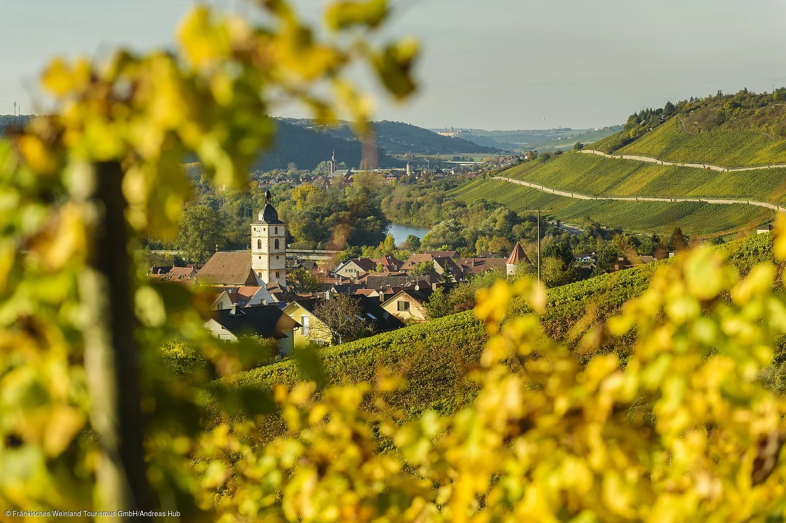 Blick auf Sommerhausen und Eibelstadt