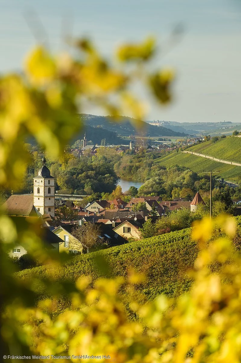 Blick auf Sommerhausen und Eibelstadt