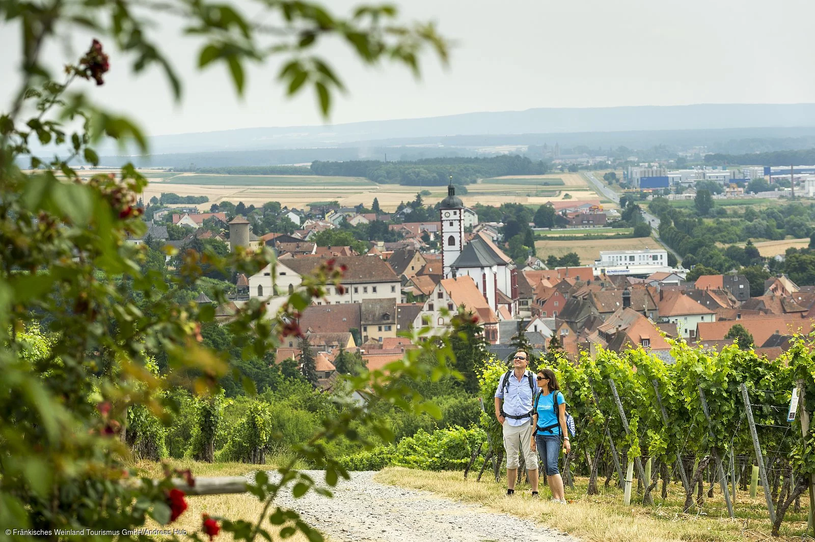 Wandern in den Weinbergen bei Dettelbach