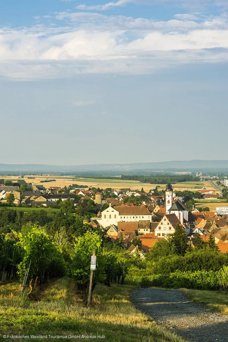 Blick auf Dettelbach