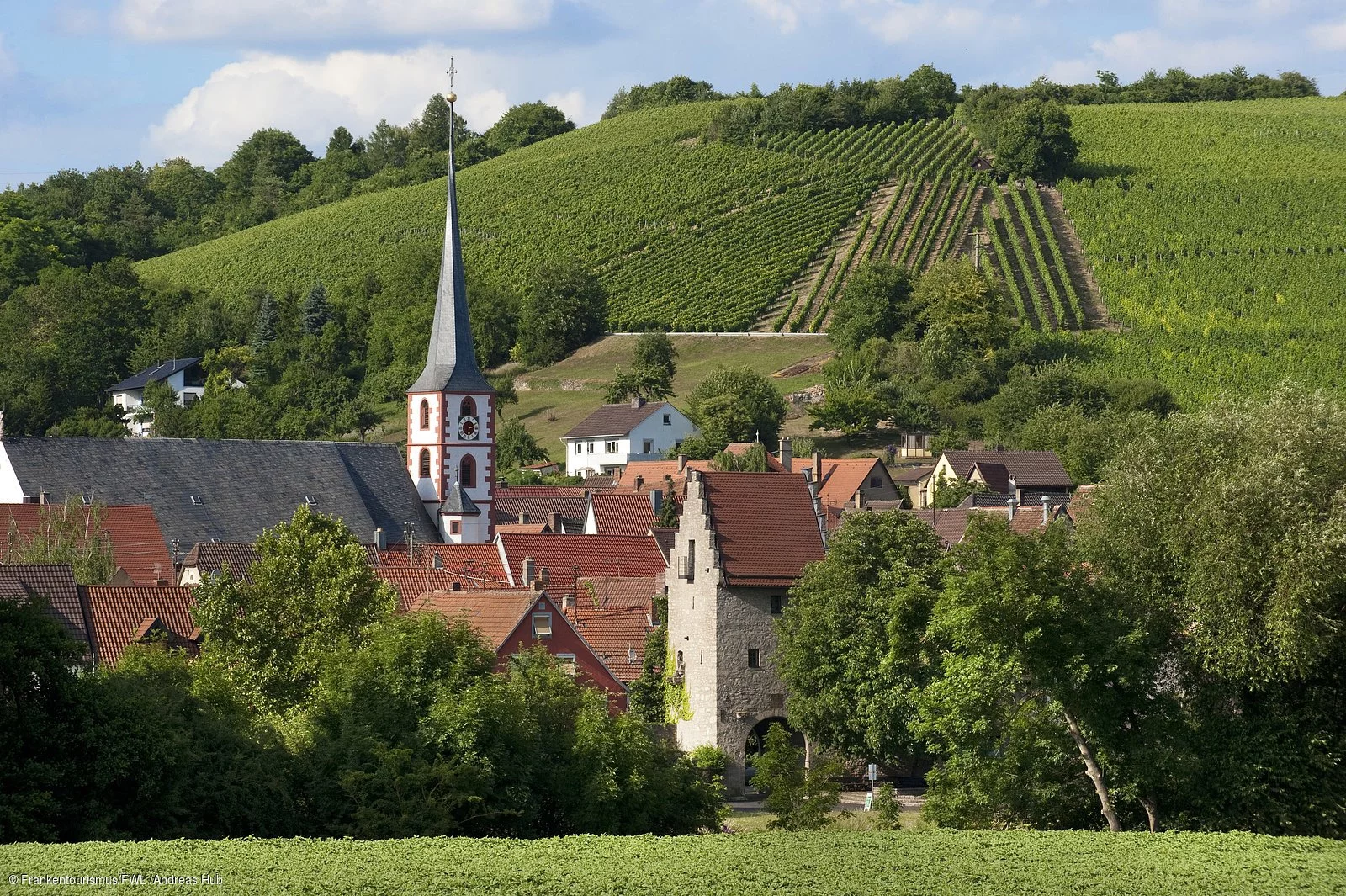 Blick auf Frickenhausen a. Main