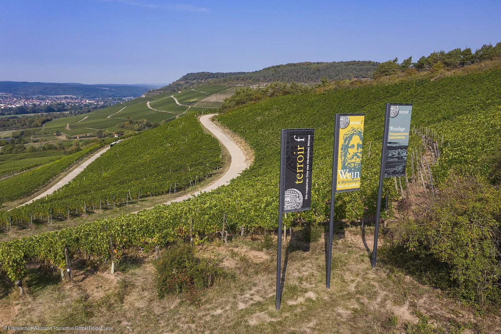 terroir f Thüngersheim