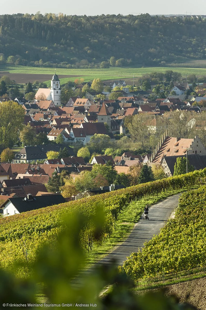 Blick auf Sommerhausen