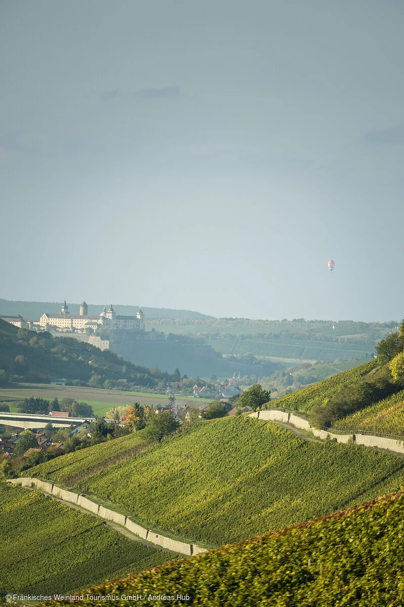 Blick von den Weinbergen zur Festung Marienberg