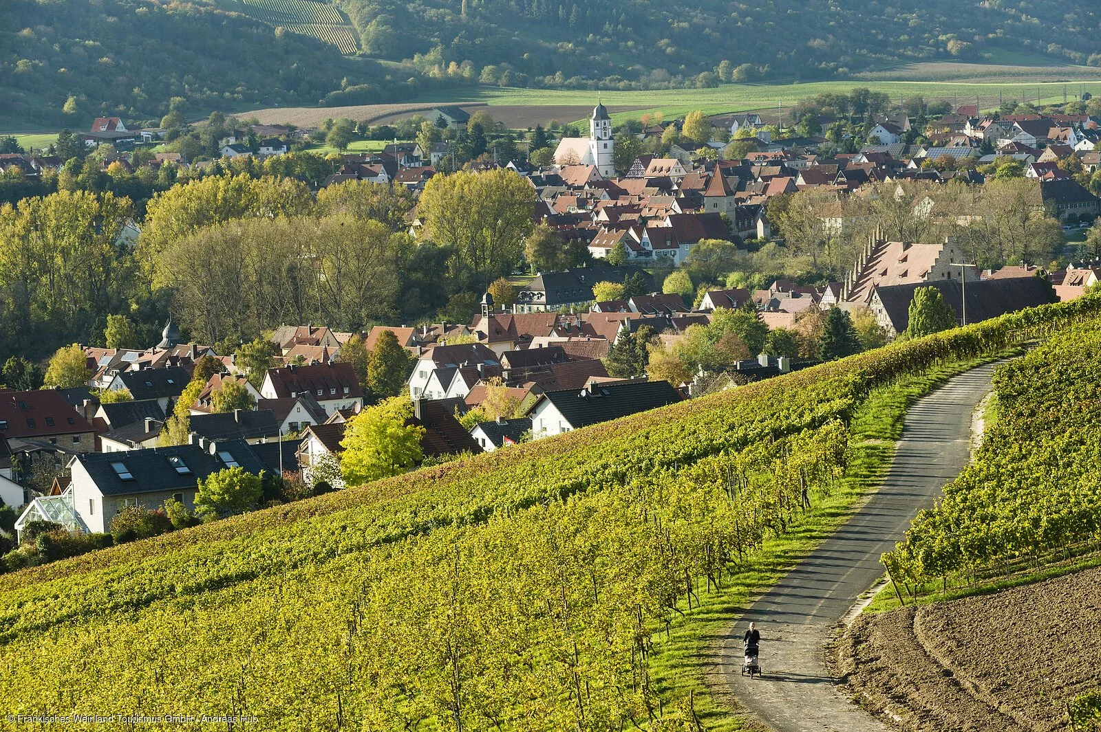 Blick auf Sommerhausen und Winterhausen