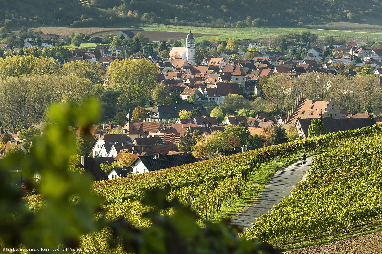 Blick auf Sommerhausen